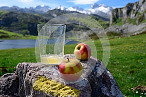 Glass of natural Asturian cider made fromÂ fermented apples with view on Covadonga lake and tops of Picos de Europa mountains,